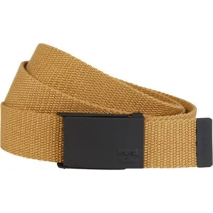 Cog Belt