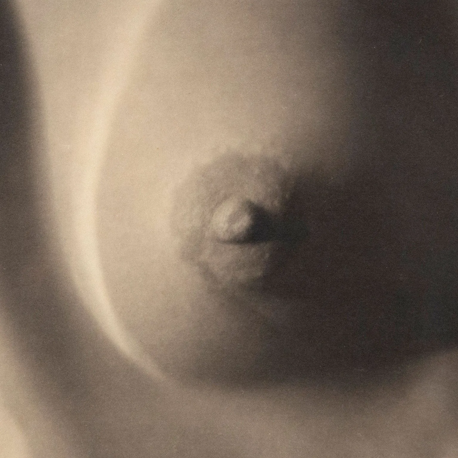 EDWARD WESTON "NUDE" GELATIN SILVER PRINT, 1920