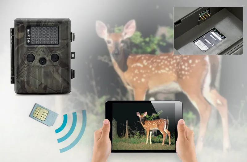 Game Camera With Rechargeable Battery   Solar Panel "SolarTrail" - 1080p HD video, PIR Motion Detection, MMS View