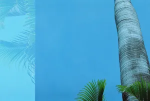 Gutterdust - Underwater Palm - A3 Print (Signed)