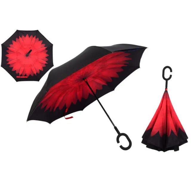 Innovative Umbrella