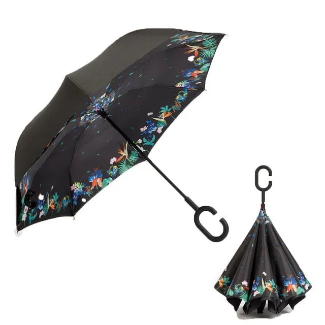 Innovative Umbrella