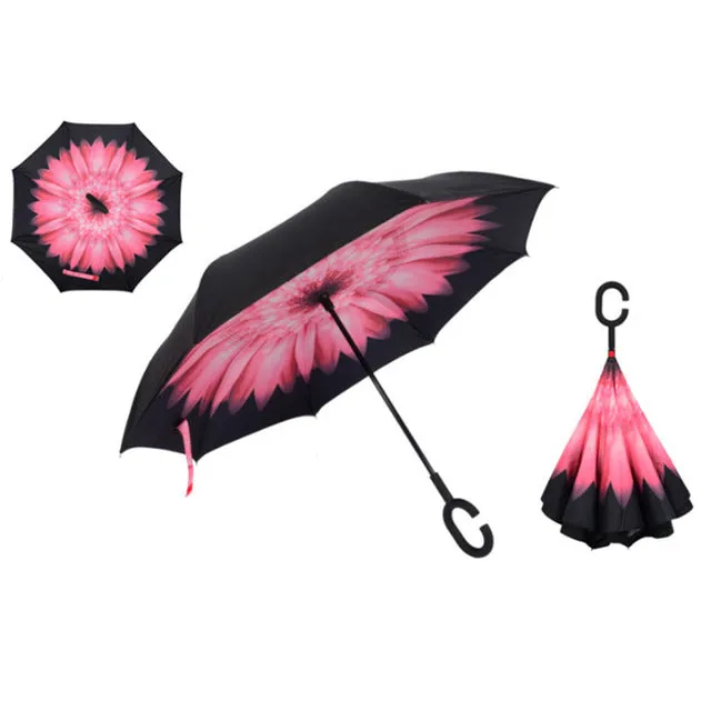 Innovative Umbrella