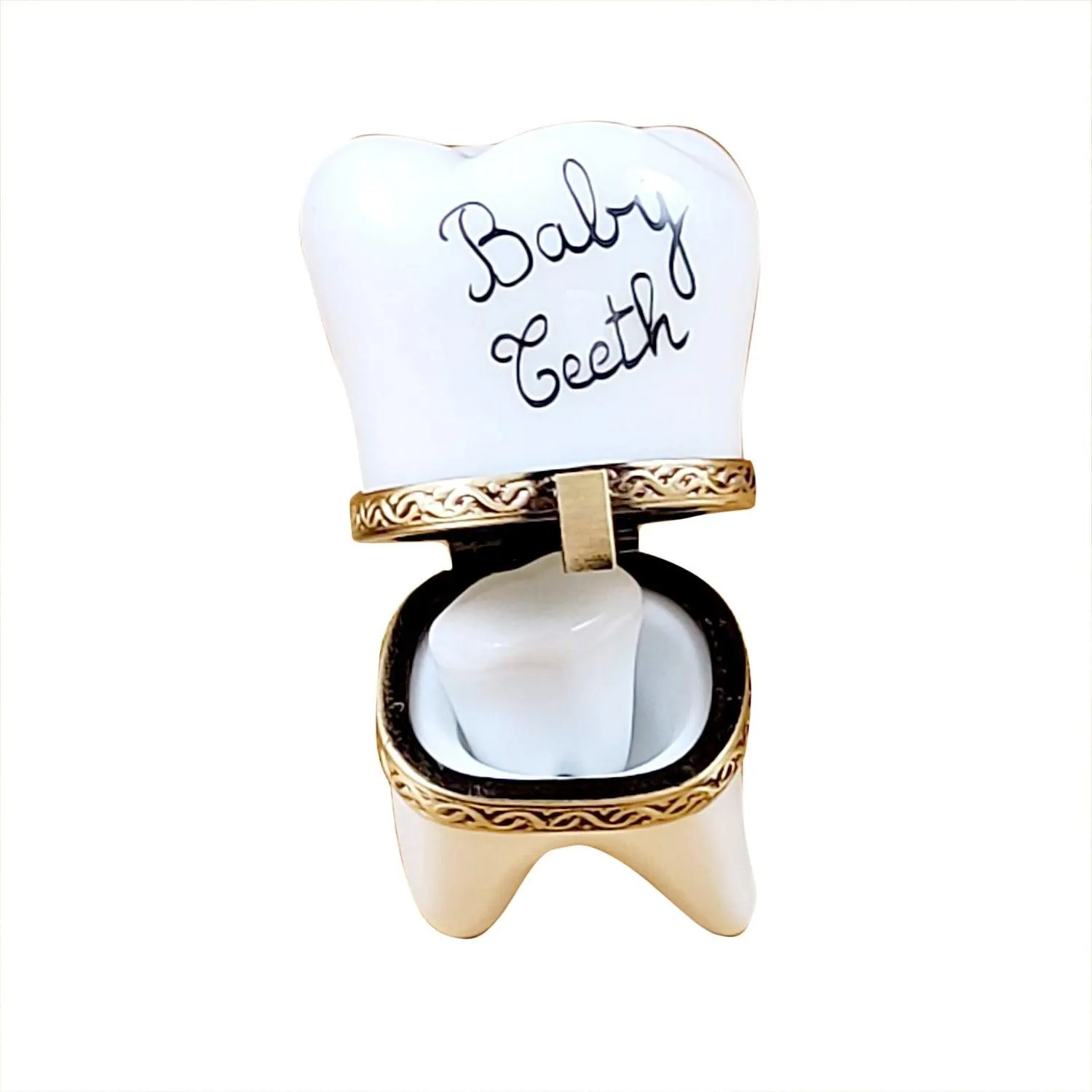 Large White Baby Tooth with Removable Tooth