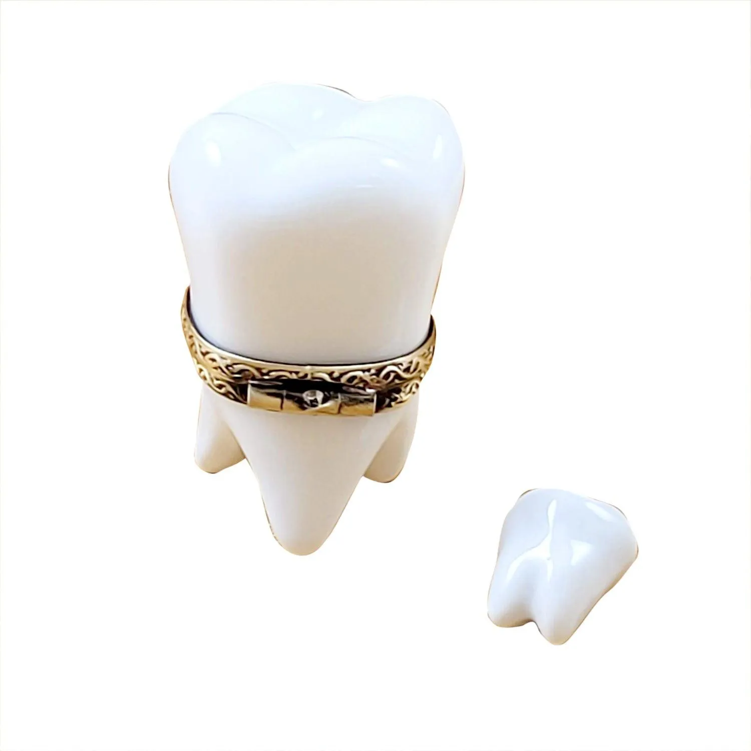 Large White Baby Tooth with Removable Tooth