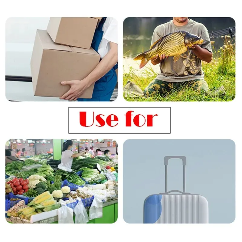 Portable 40Kg 10g Hanging Digital Scale Back Light Electronic