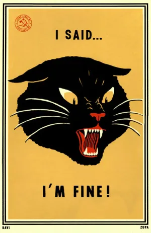 Ravi Zupa | I Said, Im Fine!