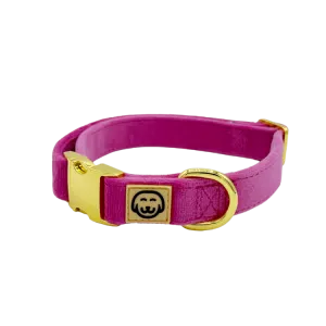 Rose Velvet - Dog Collar