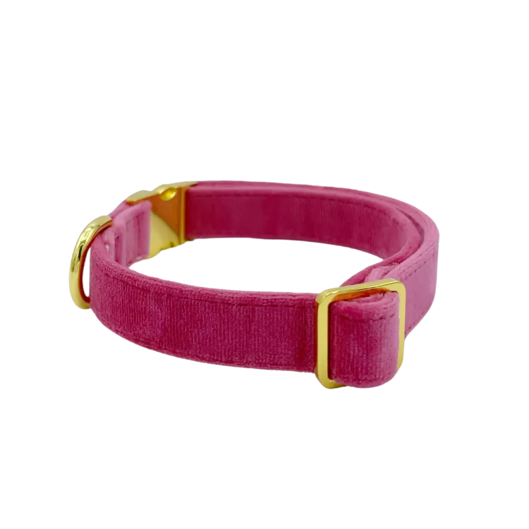 Rose Velvet - Dog Collar