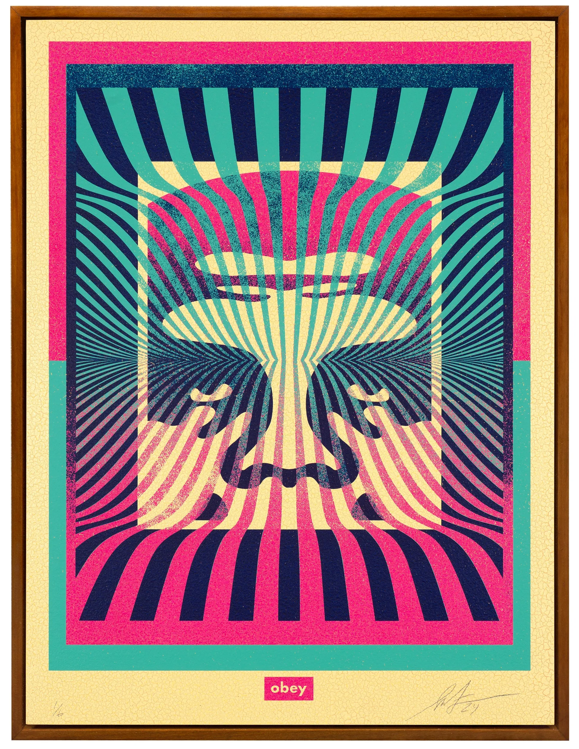Shepard Fairey | Op-Art Icon