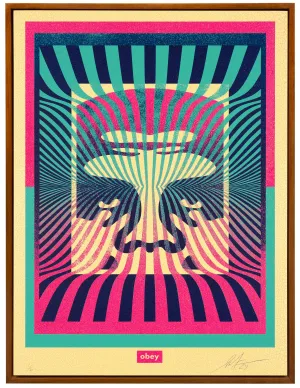 Shepard Fairey | Op-Art Icon