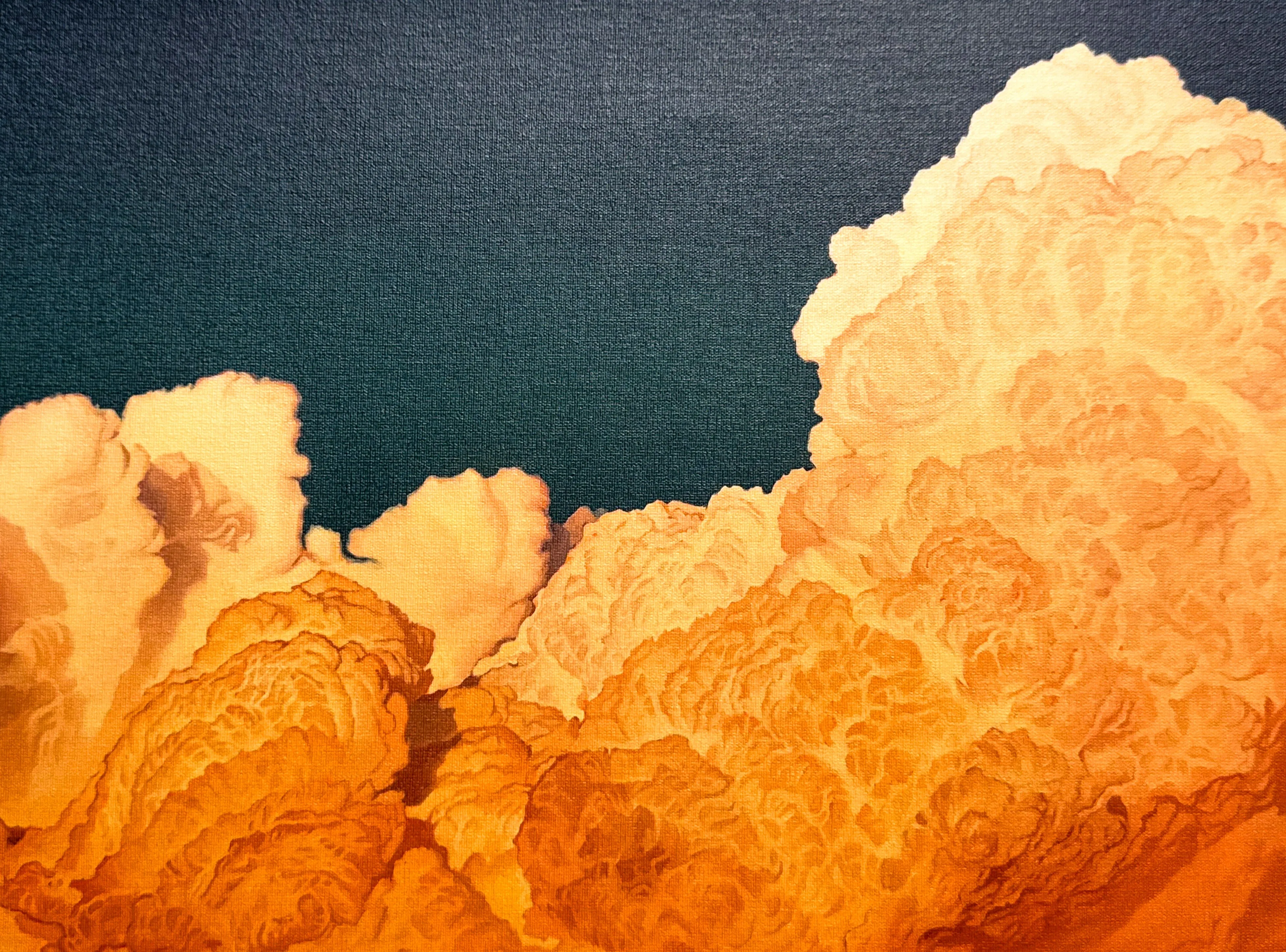 Sonoran Magnetism (Canvas)