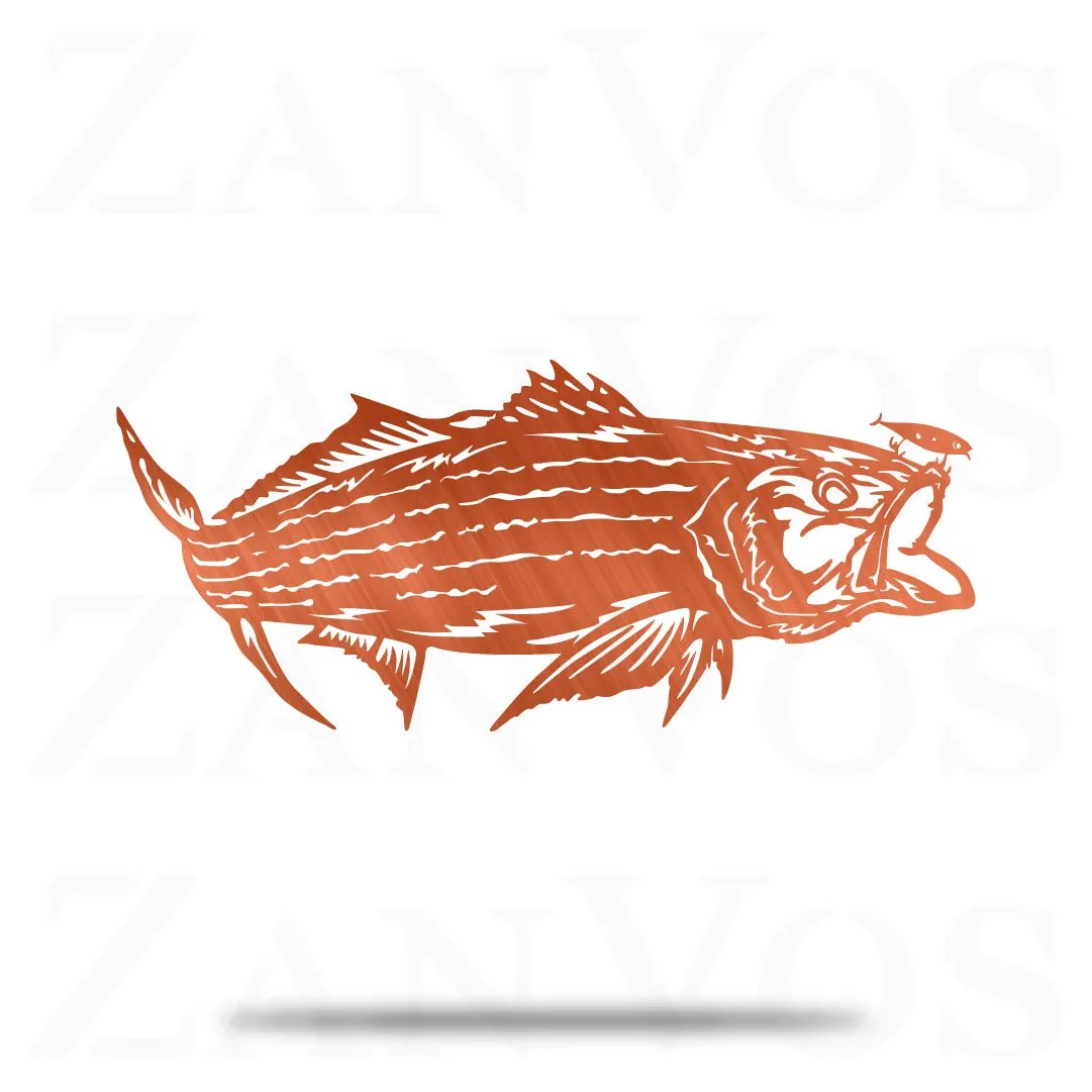 Striped Bass