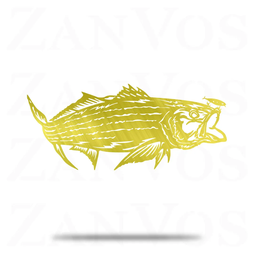 Striped Bass