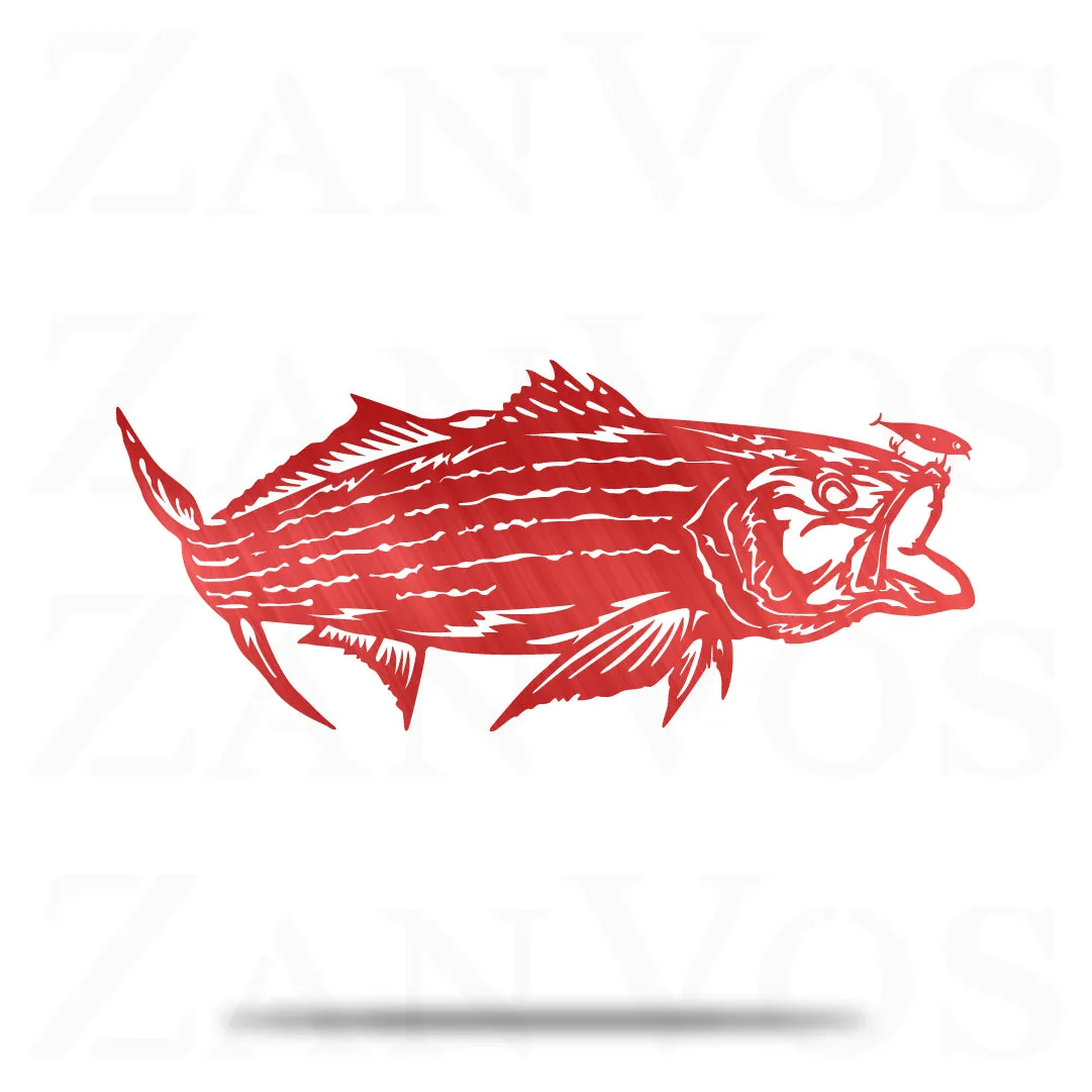 Striped Bass