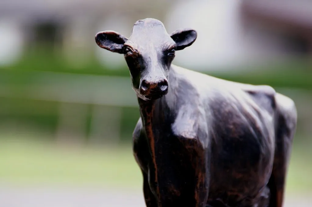 True Type Holstein
